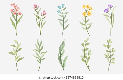 Wildflower Set Illustrations. Minimalist Botanical Elements for Branding and Patterns. Flat Color Floral Collection Illustrations 