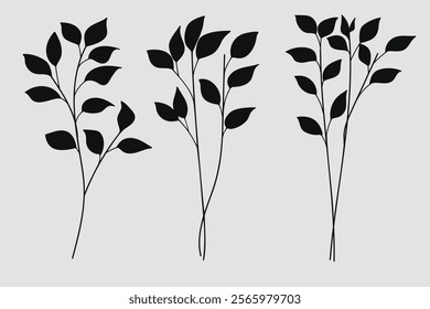 Wildflower silhouette plant tree and branches set .Hand drawing vector illustration