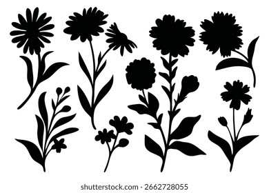 Wildflower silhouettes set Vector illustration on white background