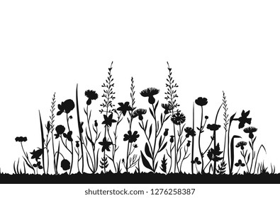 Wildflower silhouettes. Wild grass spring field. Herbal summer vector background