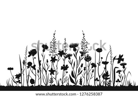 Similar – Image, Stock Photo Wild Flowers and Buds