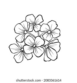 wildflower single vector graphic sketch illustration