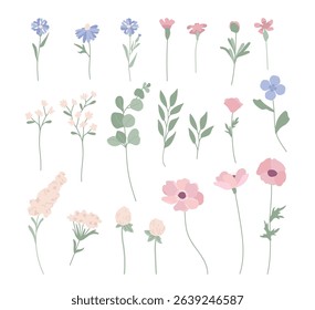 Wildflower spring blossoms, summer floral plants pastel color set isolated on white. Delicate botanical design element vector illustration. Forest meadow herbs blooms and leaves stems collection