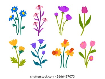 Wildflower Spring Vektorsammlung. Farbige Blumen handgezeichnet Stil. Blumenillustration für dekoratives Design, Einladung, Ornament, Tapete, Clipart.