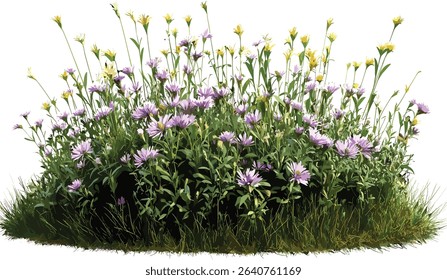 Wildflower springtime vector isolated, grass grow, blooming flowers, spring season, nature design, natural landscape, vibrant flowers, outdoor, green grass, floral illustration