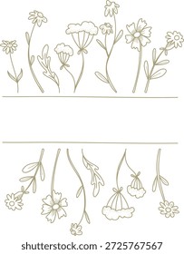 Los subgrupos de flores silvestres crean bordes superiores e inferiores con margaritas, hojas y flores en delicados linework. Símbolo de la naturaleza, la boda, el encanto rústico y la elegancia botánica. Ilustración vectorial de dibujos animados.