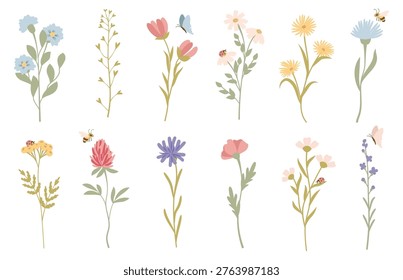 Wildflower stems and delicate