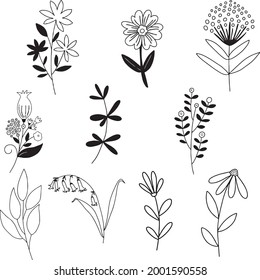 Wildflower SVG flower bundle hand drawning and sketch floral, Illustration and vector icon set. svg