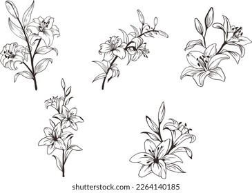 wildflower svg,flower border,floral arrangement ,wildflower Vector line Art 5 Design svg