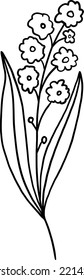 Wildflower twig. Herbal wild plant flower.