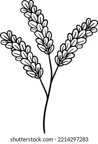 Wildflower twig. Herbal wild plant flower.