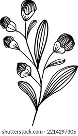 Wildflower twig. Herbal wild plant flower.