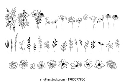 Wildflower vector set, floral collection, botanical elements