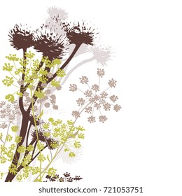 Wildflowers in autumn colours