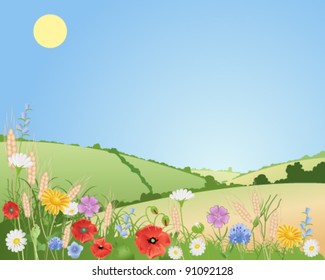wildflowers in a beautiful summer landscape with ears of wheat poppies daisies cornflowers corncockle  harebells and corn marigolds vector illustration in eps 10 format
