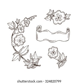 Wildflowers. Bellflowers. Vector set of sketched flowers. Doodles flowers and banner. 