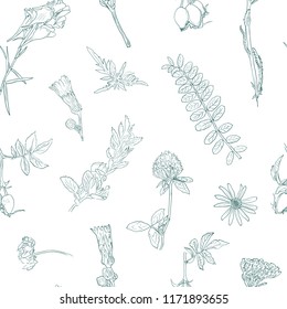 Wildflowers berries seamless pattern Hand drawn vector botanical illustration Background dogrose, burdock, herbs