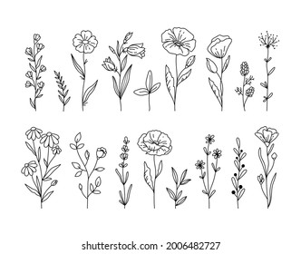 Wildflowers Black White Clipart Bundle Poppy Stock Vector (Royalty Free ...