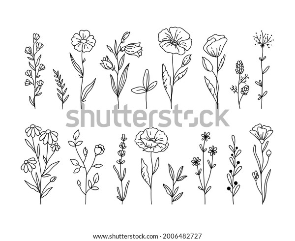 Wildflowers Black White Clipart Bundle Poppy Stock Vector (Royalty Free ...