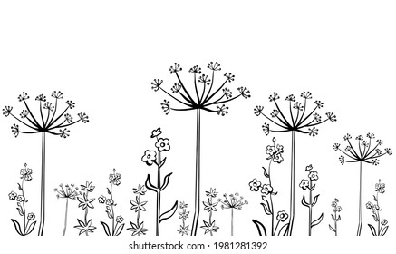 wildflowers black and white illustration, skinali