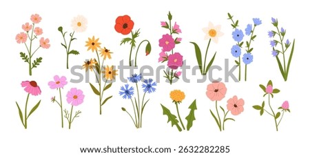 Wildflowers. Blooming garden spring and summer flowers. Meadow herbs and field plants. Daisy, poppy and dandelion, chamomile and cornflower. Hand drawn floral vector set.