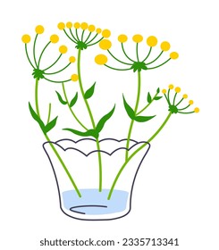 Wildflowers in blossom in glass cup or mug. Isolated floral decoration for home, flora composition or adornment from shop or store. Bouquet of spring or summer vegetation. Vector in flat style