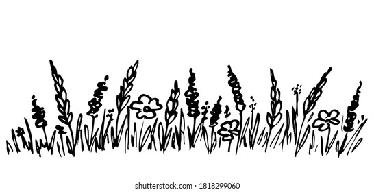 Wildflowers border, twigs, spikelets, grass. Field, meadow. Hand-drawn vector ink drawing.