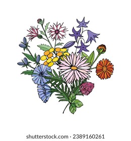 Wildflowers bouquet. Hand drawn vector illustration for your design.