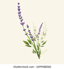 
Wildflowers. Bouquets of lavender, ornamental foliage. Vector flowers in flute style. Design for wedding and print products. Design elements for canvas.