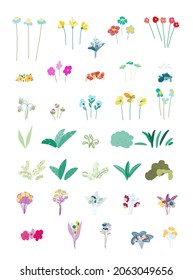 wildflowers bouquets  vector illustration set