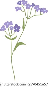 Wildflowers Branch Hand Drawn Vector Illustration