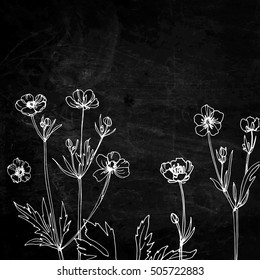 Wildflowers. Buttercups. Flowers line drawn on black background. Vector sketch. 