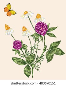 wildflowers and butterfly  