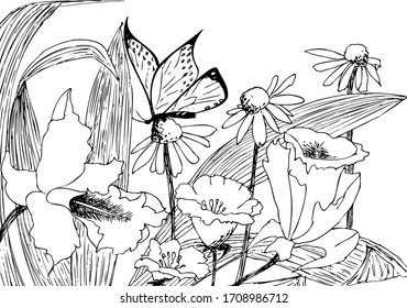 
Wildflowers. Butterfly on a camomile. Summer mood. Line art, hand pen on a white background. vector illustration