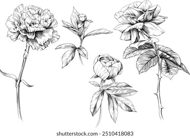 Wildflowers collection. Set of hand drawn flowers isolated on white background.