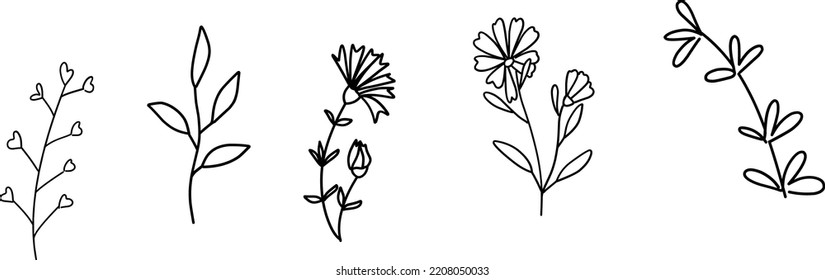 Wildflowers collection. Collection of twigs. Twigs Hand drawn vector floral elements.  Hand-drawn doodles illustration. Line art. Icon