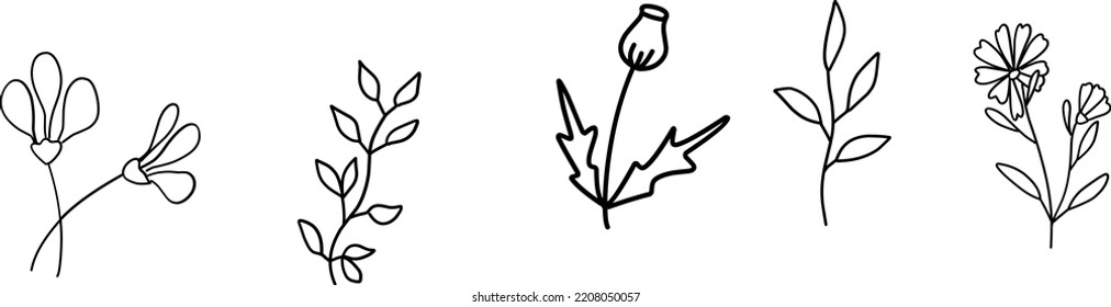 Wildflowers collection. Collection of twigs. Twigs Hand drawn vector floral elements.  Hand-drawn doodles illustration. Line art. Icon