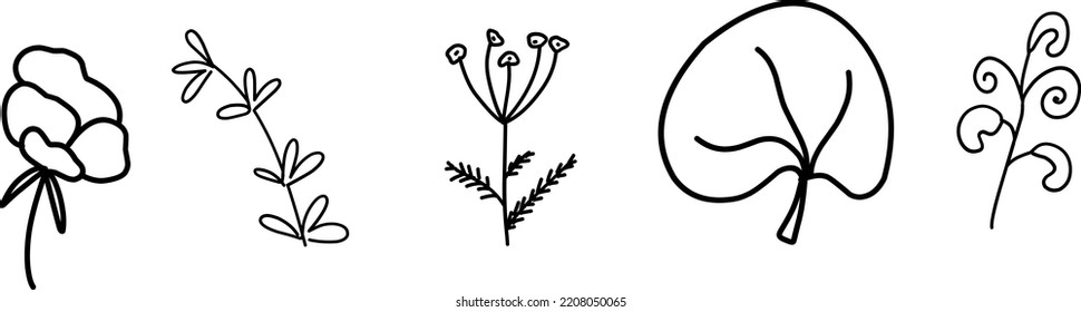 Wildflowers collection. Collection of twigs. Twigs Hand drawn vector floral elements.  Hand-drawn doodles illustration. Line art. Icon