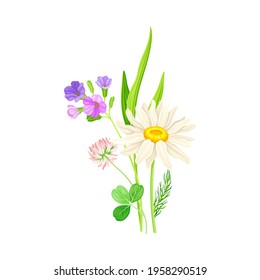 Wildflowers Composition with Meadow Plants and Flora Closeup View Vector Illustration