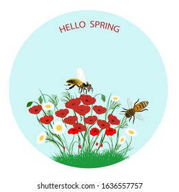 Wildflowers, daisies, red poppy, bees - round icon, isolated on white background - vector. Enviroment protection. Hello spring