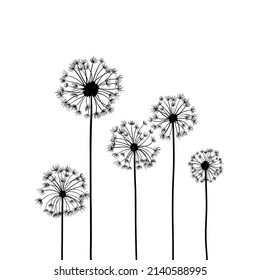 Wildflowers dandelion field, drawing, line art vector illustration. Set of isolated on white plants in outline style