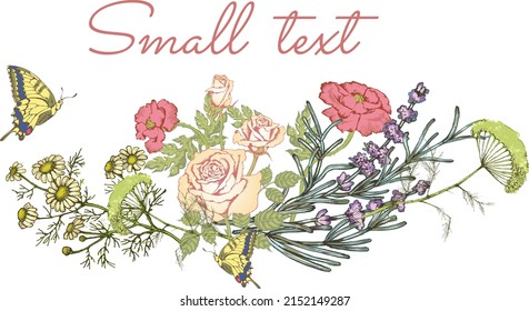 
Wildflowers design, isolated  illustration for card, border, wallpaper, poster or template your design.