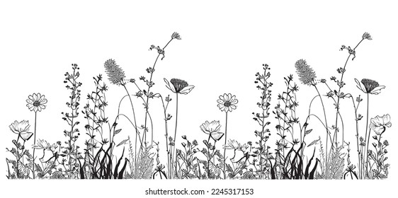 Dibujo de borde de campo de flores silvestres dibujado a mano en forma de doodle Ilustración vectorial