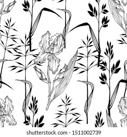 Wildflowers floral seamless pattern with irises and grass. Line Art. Hand drawn sketch style. Black and white vector illustration. White background