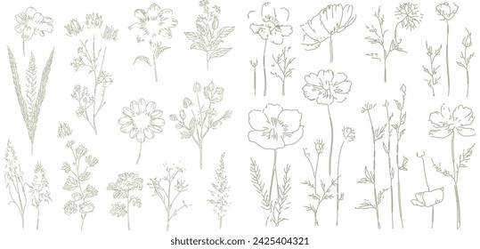 Wildflowers floral vector art, Abstract botanical illustration, line art textures, sketched field flowers. Contemporary artistic