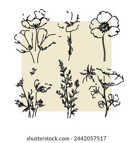 Wildflowers floral vector art, Abstract botanical illustration, line art textures, sketched field flowers. Contemporary artistic