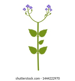 Wildflowers flower flat icon, plant vector illustration isolated on white background