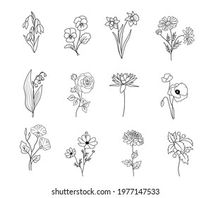 Wildflowers and flowers collection, drawing, line art, vector. Set of Isolated rose, poppy, water lily and others plants in outline style