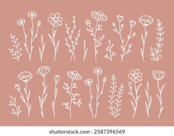 Wildflowers, flowers, herbs and plant set silhouettes