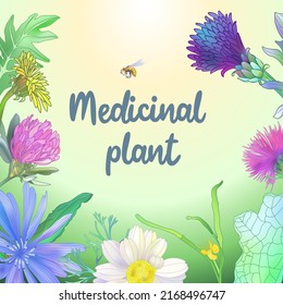 wildflowers frame with wasp on gradient background